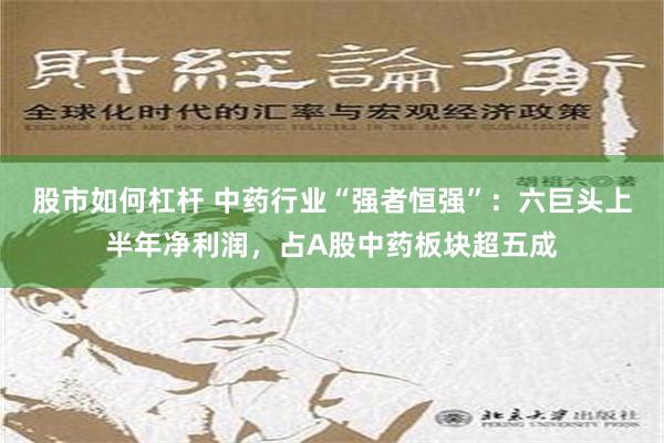 股市如何杠杆 中药行业“强者恒强”：六巨头上半年净利润，占A股中药板块超五成