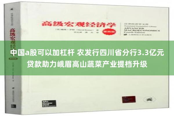 中国a股可以加杠杆 农发行四川省分行3.3亿元贷款助力峨眉高山蔬菜产业提档升级