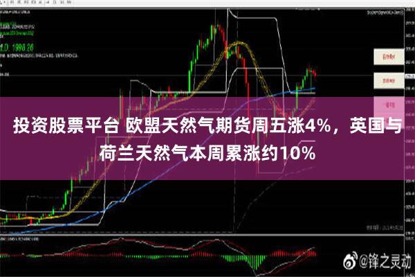 投资股票平台 欧盟天然气期货周五涨4%，英国与荷兰天然气本周累涨约10%