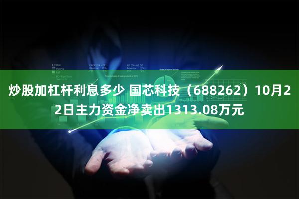 炒股加杠杆利息多少 国芯科技（688262）10月22日主力资金净卖出1313.08万元