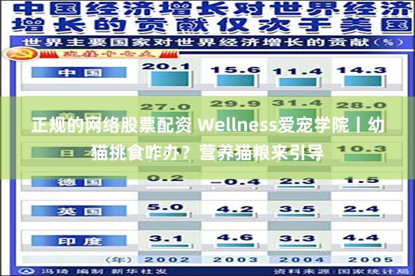 正规的网络股票配资 Wellness爱宠学院丨幼猫挑食咋办？营养猫粮来引导