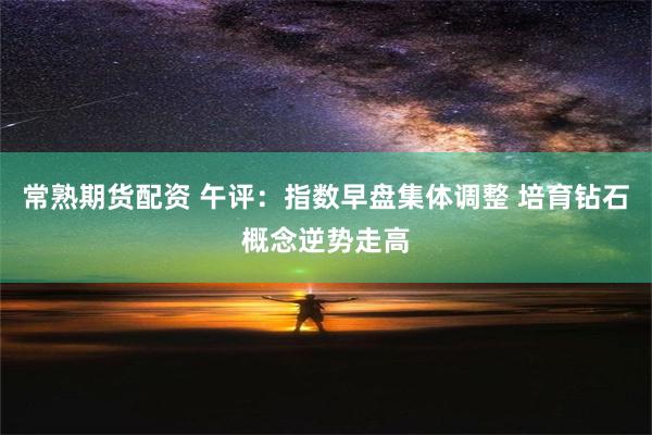 常熟期货配资 午评：指数早盘集体调整 培育钻石概念逆势走高