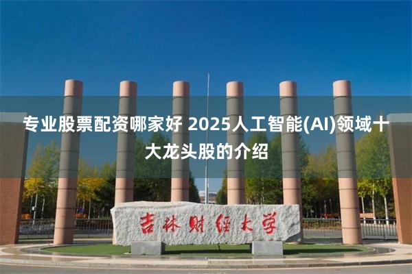 专业股票配资哪家好 2025人工智能(AI)领域十大龙头股的介绍