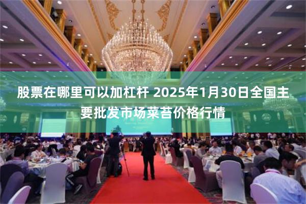 股票在哪里可以加杠杆 2025年1月30日全国主要批发市场菜苔价格行情